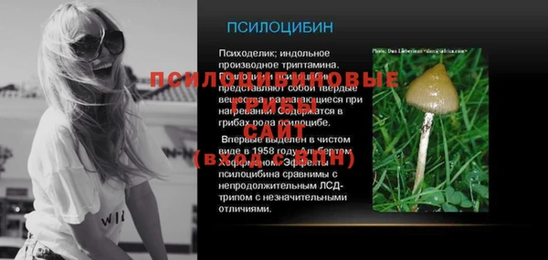 apvp Няндома