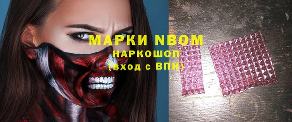 прущие грибы Новокубанск