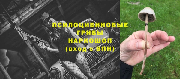 прущие грибы Новокубанск