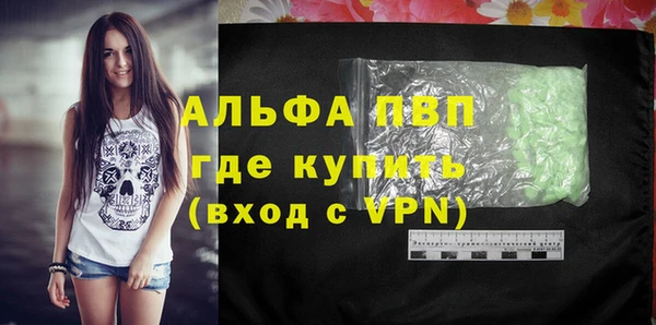прущие грибы Новокубанск