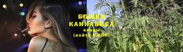 прущие грибы Новокубанск