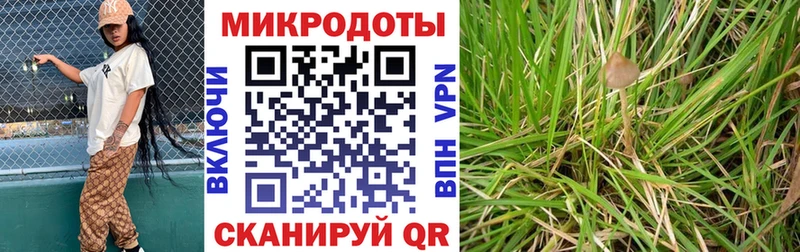 Псилоцибиновые грибы мицелий  Купить где  Клин 